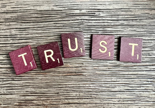 YOUTH GROUP GAME ON TRUST (SCAVENGER HUNT)